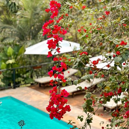 Mediterraneo Suites Пуерто Игуасу Екстериор снимка